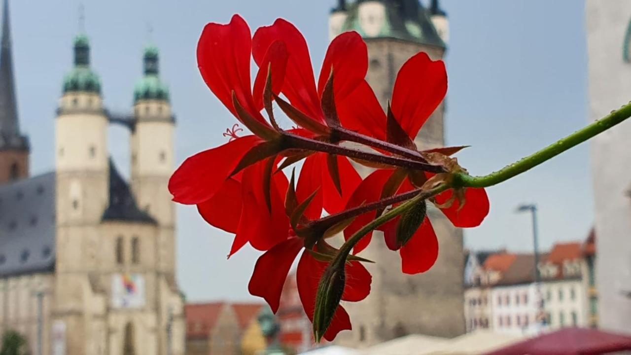 Budget Rooms In Halle With Shared Bathroom, Free Wifi, Netflix & Ipad Екстериор снимка